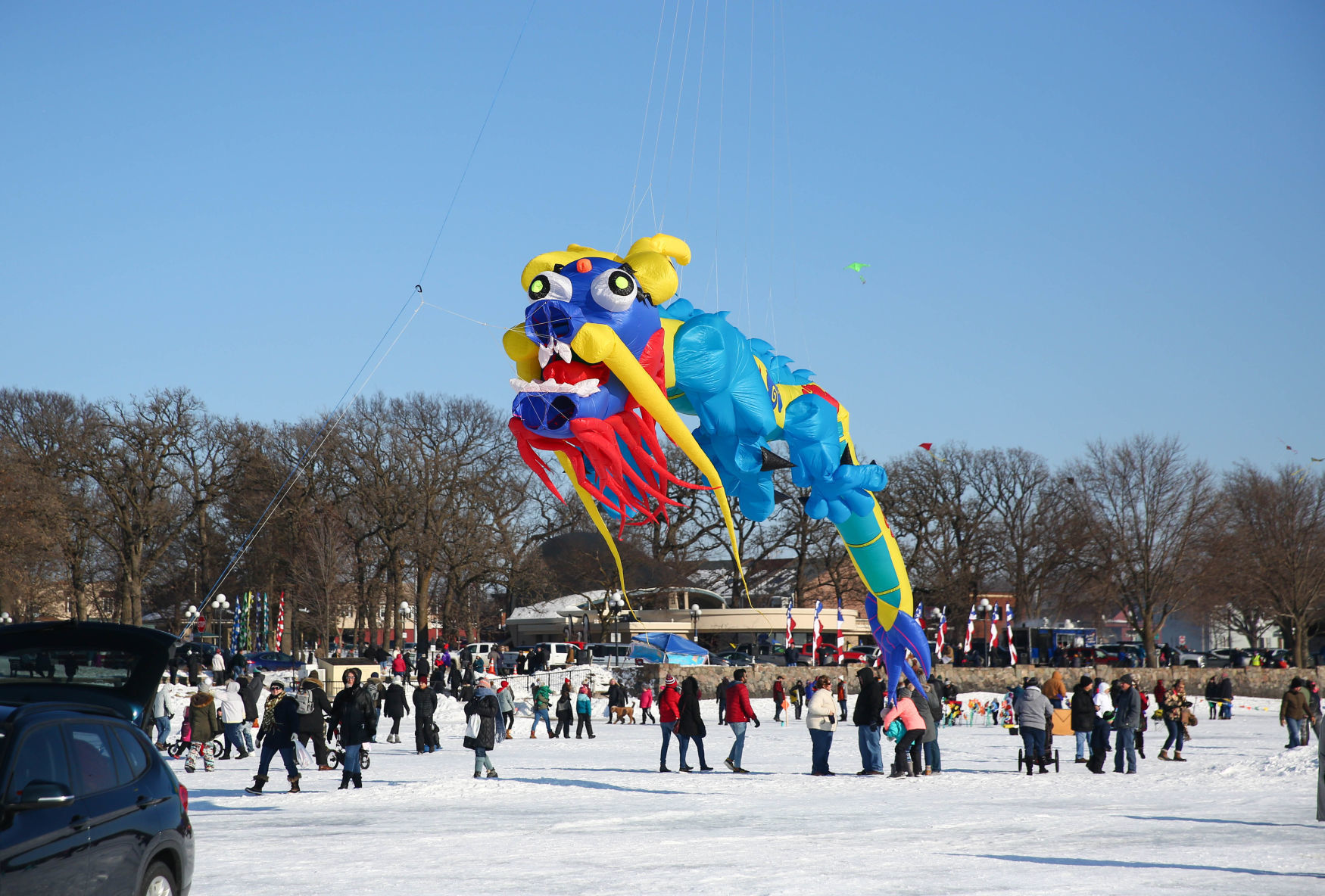 Color the Wind kite festival 02-15-2020 (12).jpg